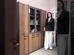 Windkasten voor de lichte industrie