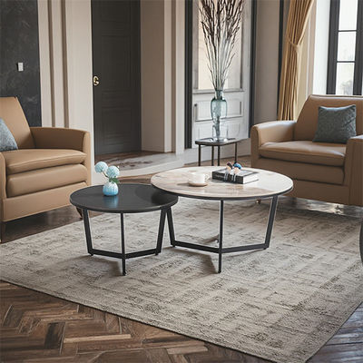 Contemporary Minimalist Metal Style Coffee Table for Apartment Living Room Bedroom Hotel Home Support Customization