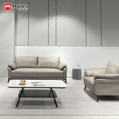 Cat Scratch Leather Sofa, Small-sized Living Room, Simple Double and Three Person Nordic Clothing Store Apartment, Orange Color