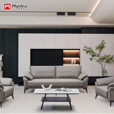 Cat Scratch Leather Sofa, Small-sized Living Room, Simple Double and Three Person Nordic Clothing Store Apartment, Orange Color