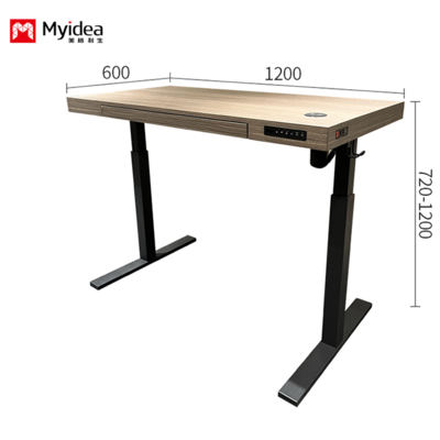 Eenvoudig en comfortabel directiebureau, Stille enkele motor hef bureau, Stabiel en multifunctioneel design bureau voor kantoorgebruik